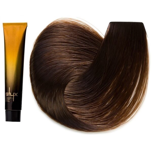 رنگ مو استایکس شماره 6.03 سری طبیعی گرم رنگ بلوند طبیعی گرم تیره
