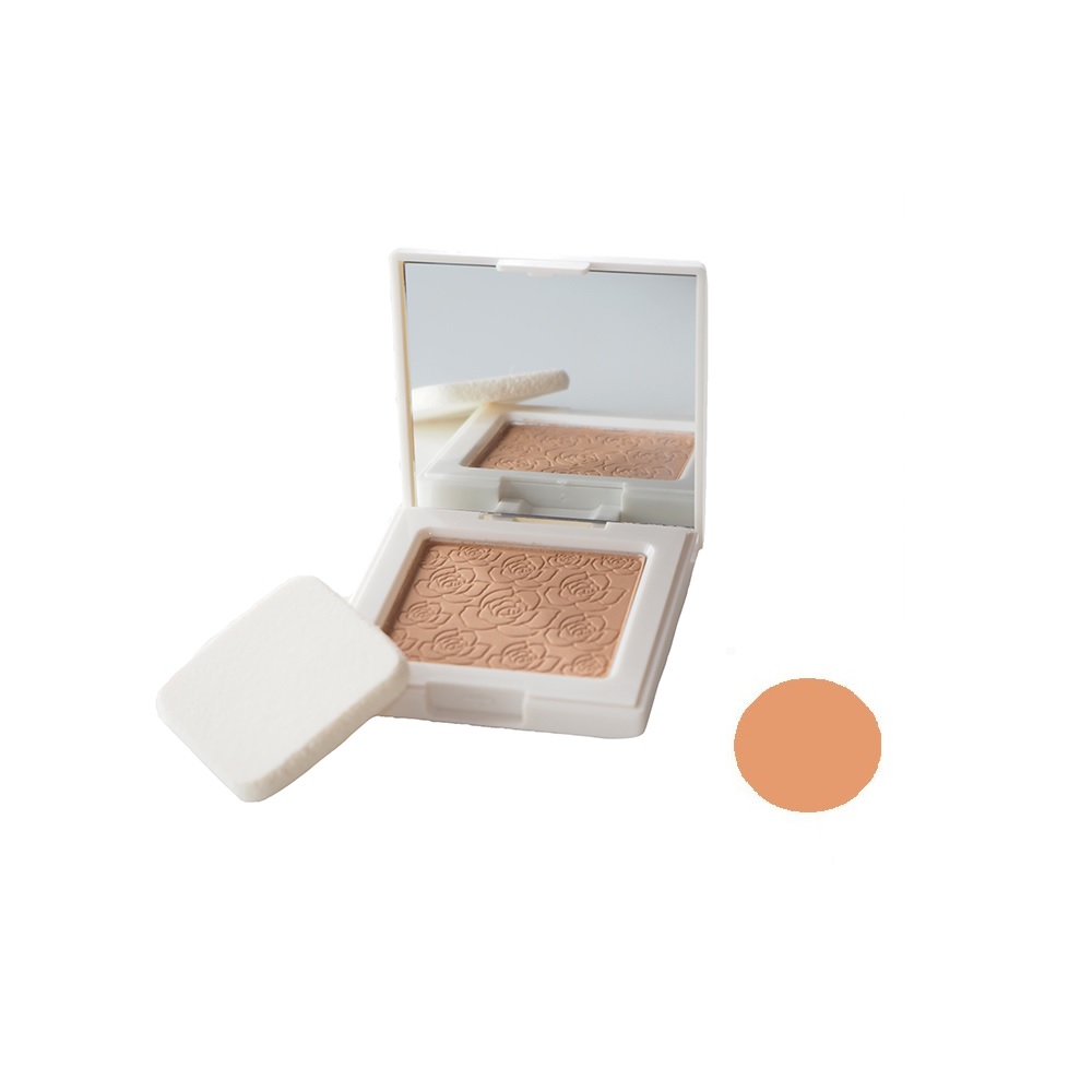 پنکیک آلستر مدل Super Stay شماره 06 وزن 10 گرم