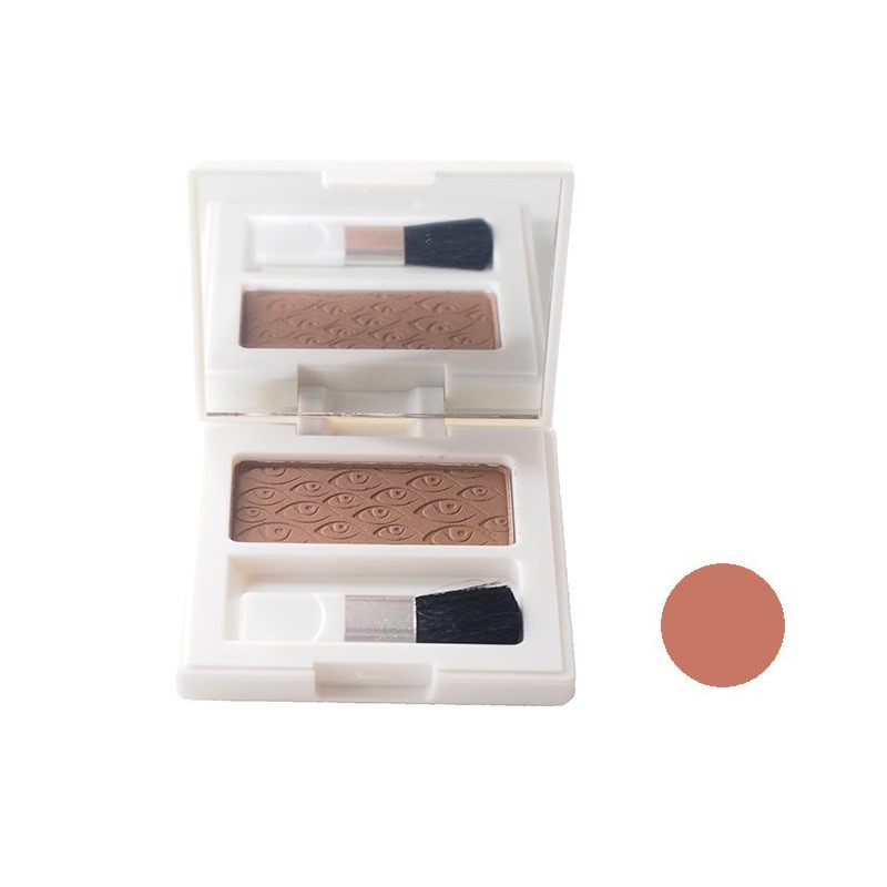 رژ گونه آلستر شماره 02 وزن 6 گرم