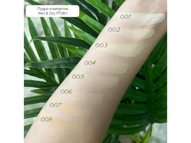 پنکیک تاپ فیس مدل Wet & Dry Powder - تصویر 2