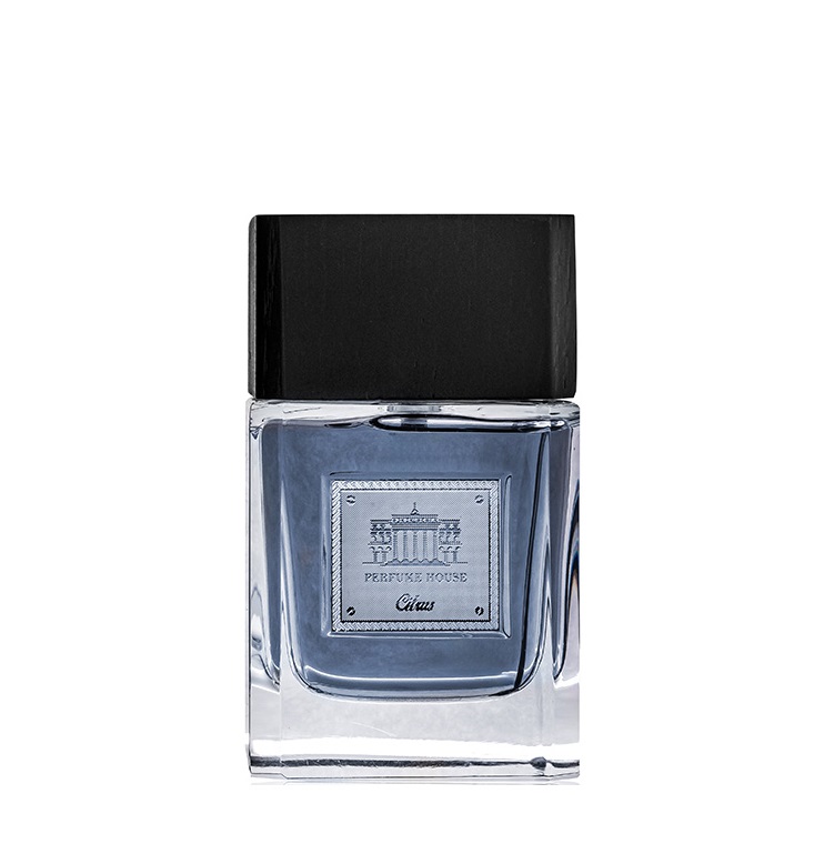 ادکلن مردانه پرفیوم هاوس سیتروس Citrus حجم 100 میل